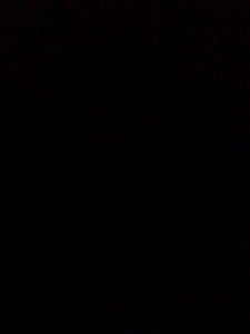 Meet your Posher, Araceli